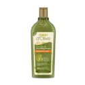 dau-goi-cho-toc-kho-va-hu-ton-dalan-D’Olive-Shampoo-Repairing-Care-400ml