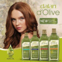 dau-goi-dau-dalan-tho-nhi-ki-Pure-Olive-oil-DALAN-D'Olive-SHAMPOOjpg
