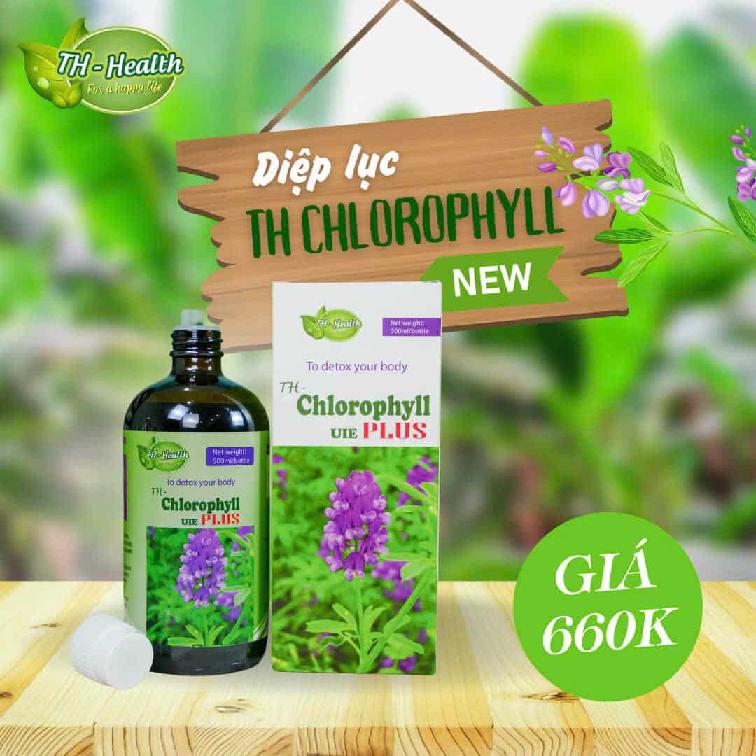 th-chlorophyll-uie-plus-bo-sung-diep-luc (3) th-chlorophyll-uie-plus-bo-sung-diep-luc (3)