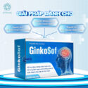 thuc-pham-bao-ve-suc-khoe-GINKOSOF-2