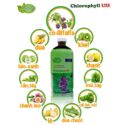 thuc-pham-bao-ve-suc-khoe-thai-doc-th-chlorophyll-uie-plus-1