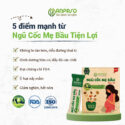 ngu-coc-me-bau-tien-loi-anpaso-2