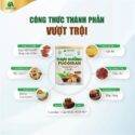 thanh-phan-thuc-duong-fucoidan
