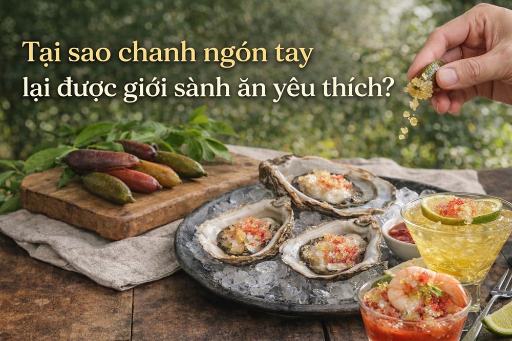 tai-sao-chanh-mong-tay-lai-duoc-gioi-sanh-an-yeu-thich