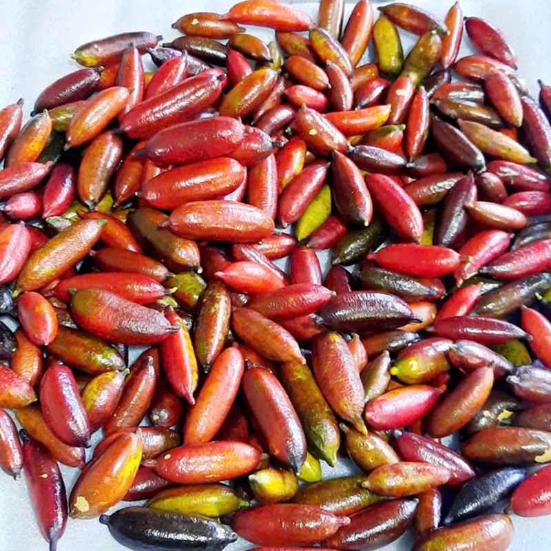 trai-chanh-mong-tay-cao-cap-trangstore trai-chanh-mong-tay-cao-cap-trangstore