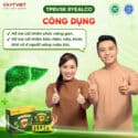 byealco-vien-uong-giai-ruou-bao-ve-gan-2